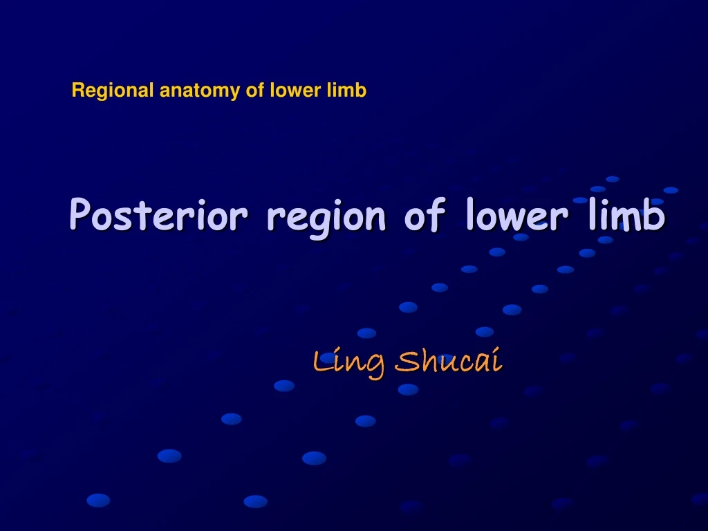 posterior region of lower limb