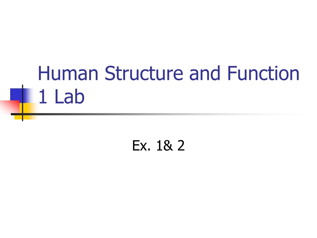 human structure and function 1 lab