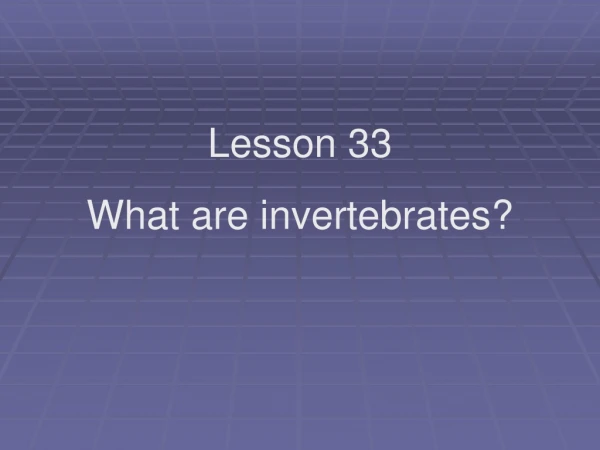 Lesson 33 What are invertebrates?