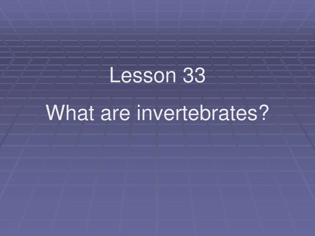 lesson 33 what are invertebrates