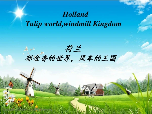 Holland Tulip world,windmill Kingdom