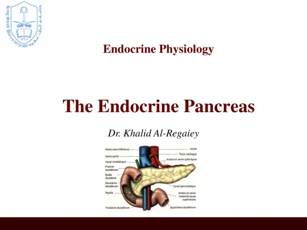 Endocrine Physiology The Endocrine Pancreas