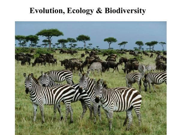 Evolution, Ecology &amp; Biodiversity