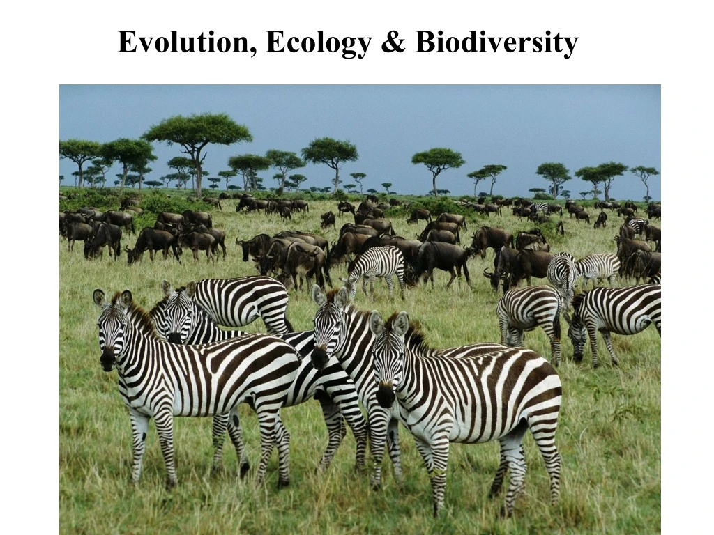 evolution ecology biodiversity