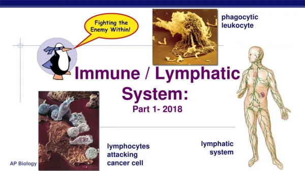 Immune / Lymphatic System: Part 1- 2018