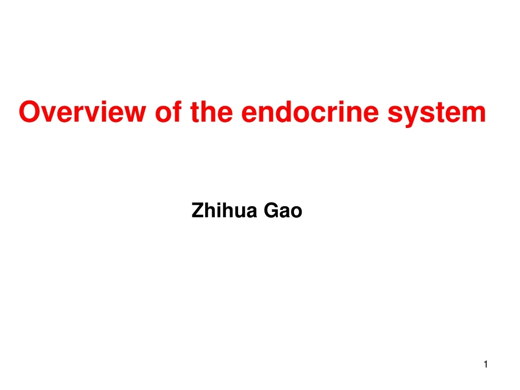 overview of the endocrine system