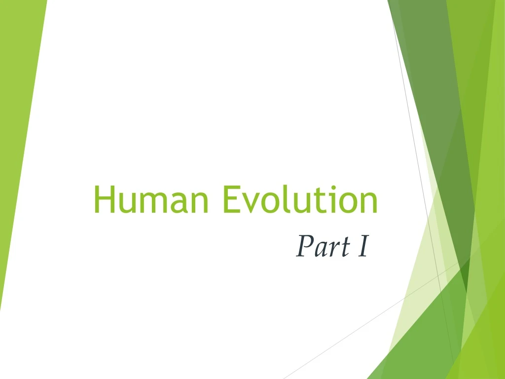 human evolution