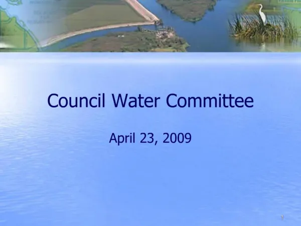 Council Water Committee