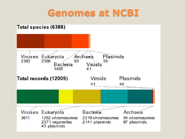 Genomes at NCBI
