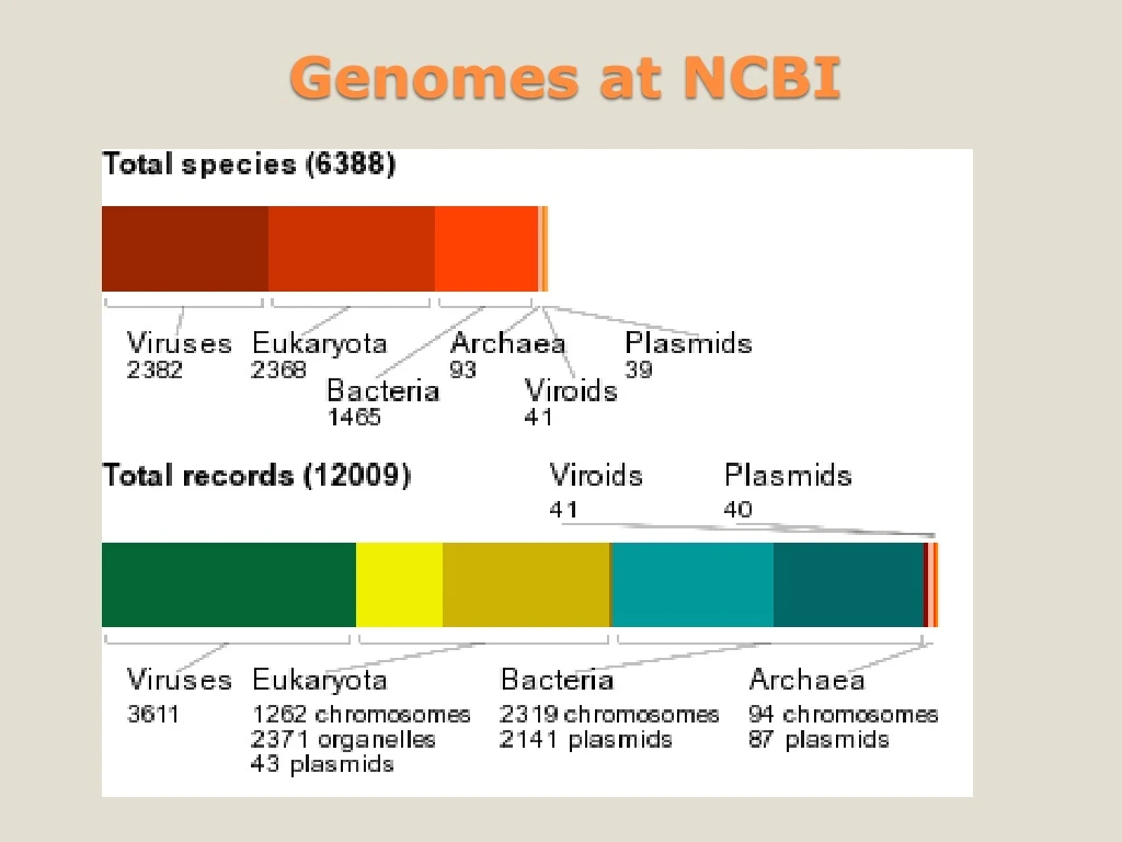 genomes at ncbi