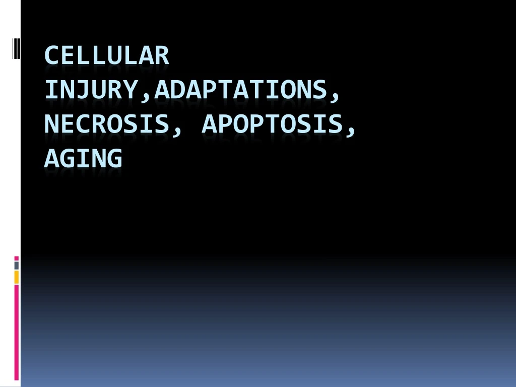 cellular injury adaptations necrosis apoptosis aging