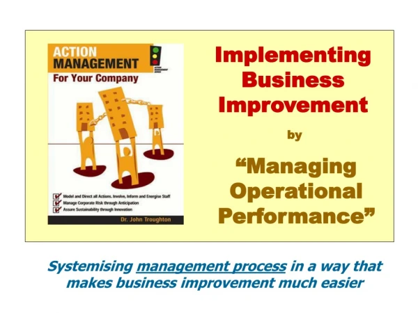 Implementing Business Improvement