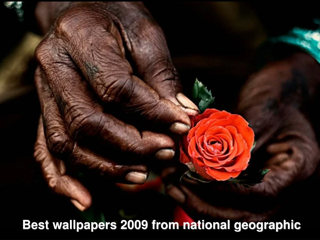 best wallpapers 2009 from national geographic
