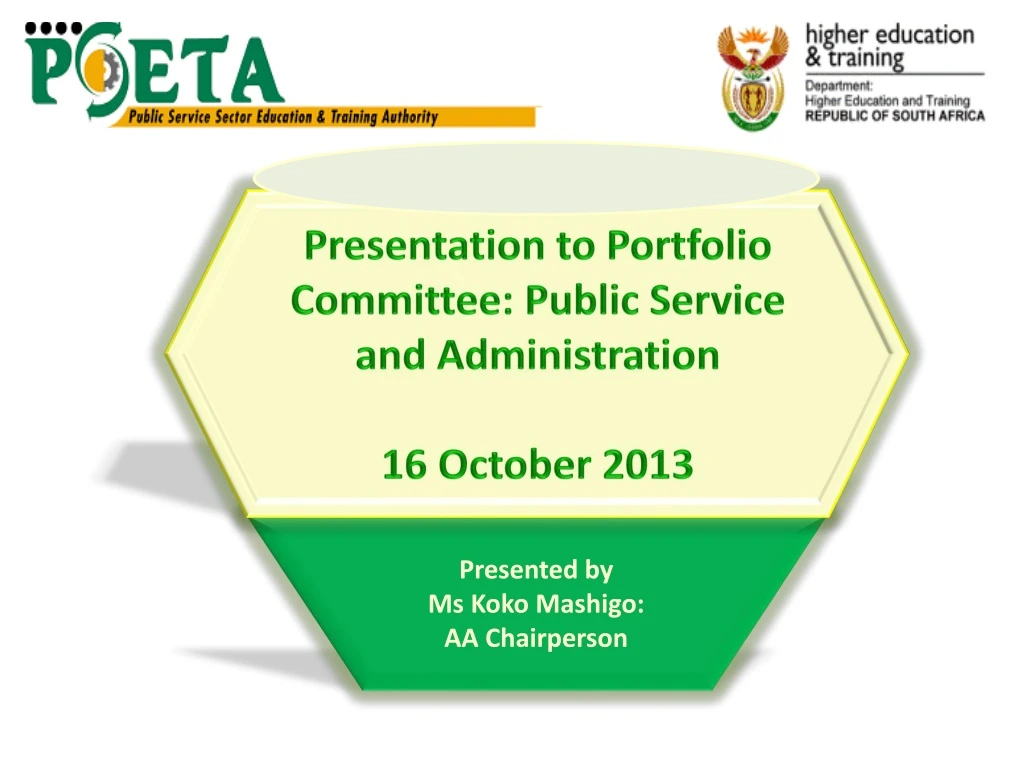 presentation to portfolio committee public