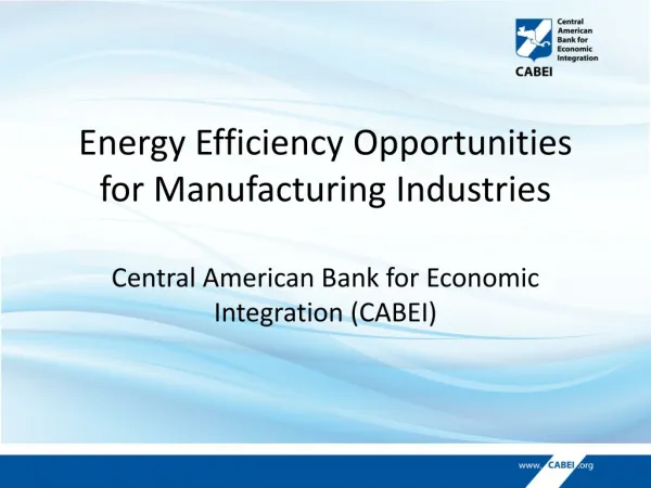 Energy Efficiency Opportunities for Manufacturing Industries
