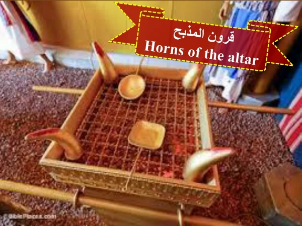 قرون المذبح Horns of the altar