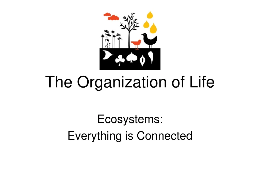 the organization of life