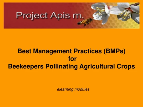 Best Management Practices (BMPs) for Beekeepers Pollinating Agricultural Crops