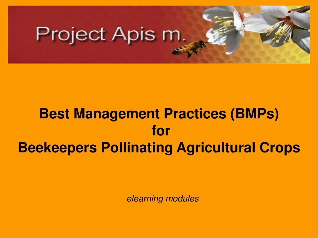 best management practices bmps for beekeepers