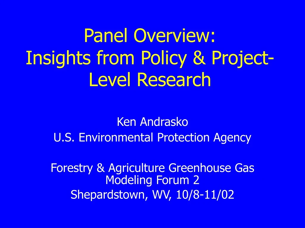 panel overview insights from policy project level research