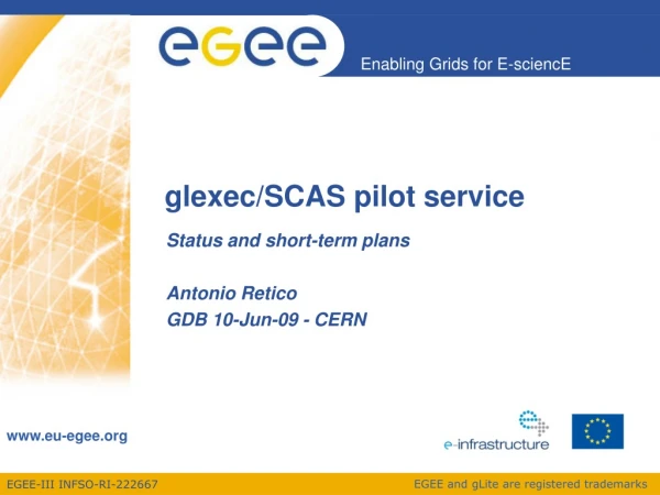 glexec/SCAS pilot service