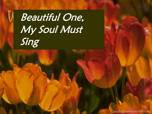 Beautiful One, My Soul Must Sing