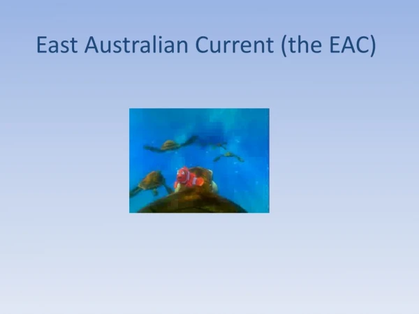 East Australian Current (the EAC)