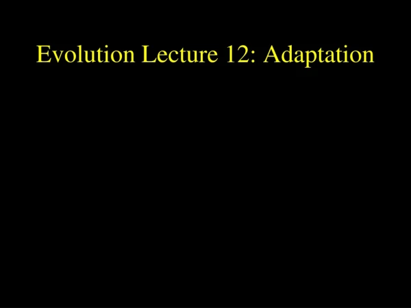 Evolution Lecture 12: Adaptation