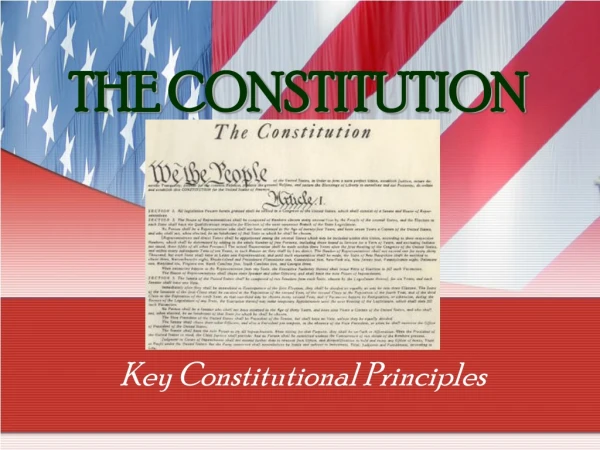 THE CONSTITUTION