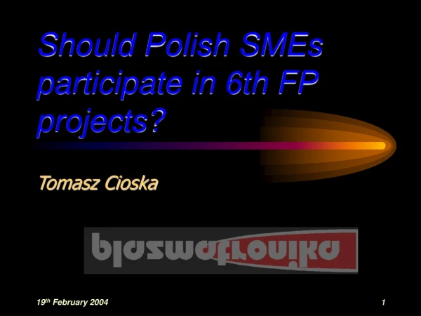Should Polish SMEs participate in 6th FP projects?