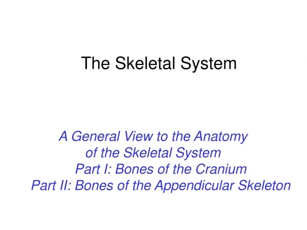 The Skeletal System