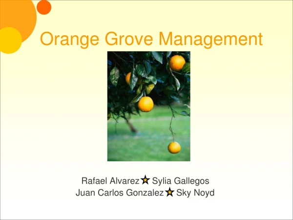 Orange Grove Management