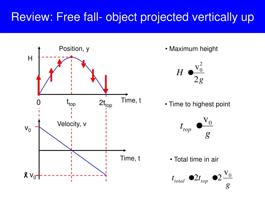 review free fall object projected vertically up
