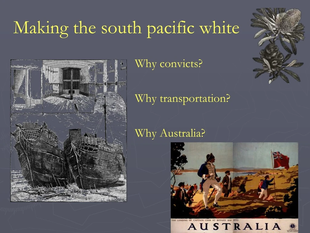 making the south pacific white