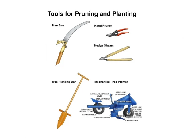 Tools for Pruning and Planting