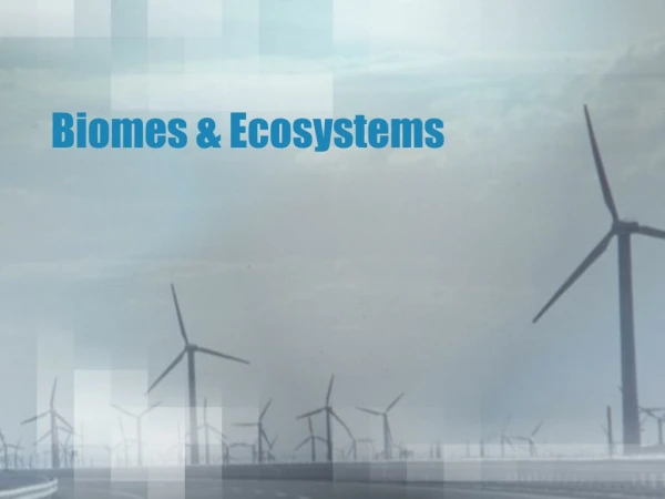 Biomes &amp; Ecosystems