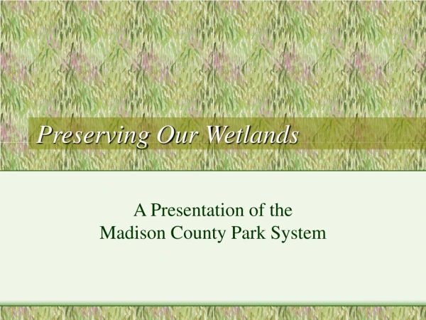 Preserving Our Wetlands