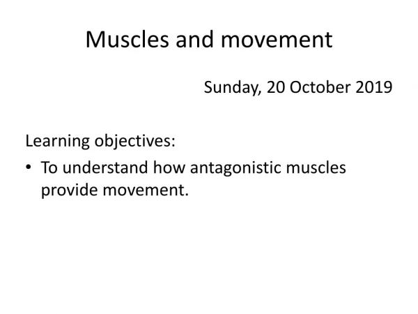 Muscles and movement