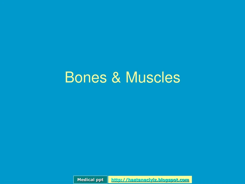 bones muscles
