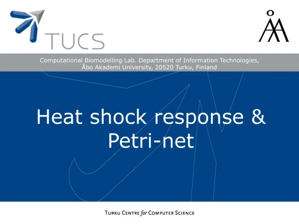 Heat shock response &amp; Petri-net