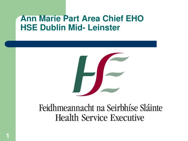 Ann Marie Part Area Chief EHO HSE Dublin Mid- Leinster