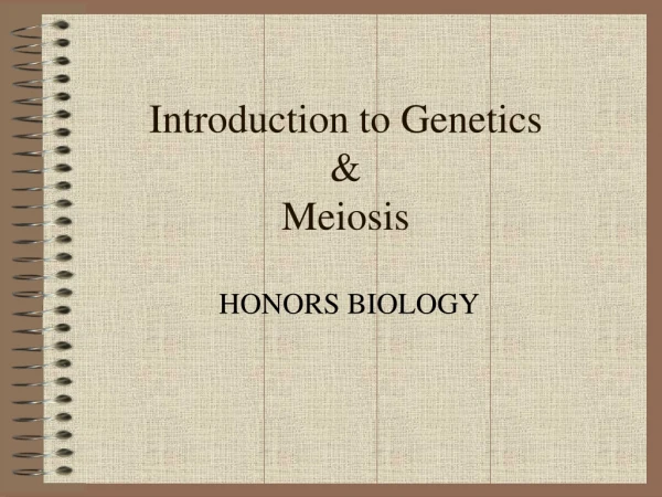 Introduction to Genetics &amp; Meiosis