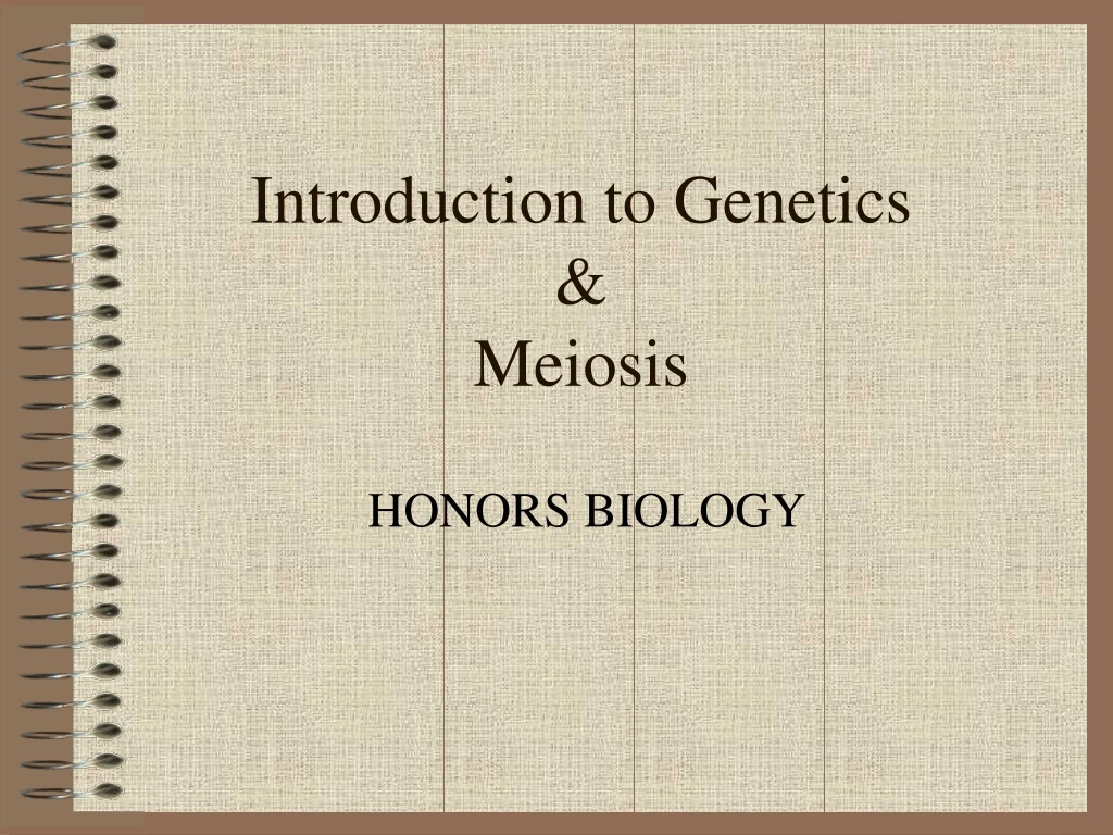 introduction to genetics meiosis