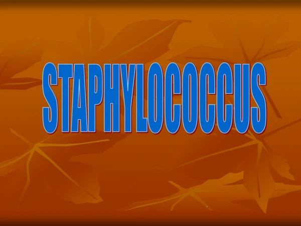STAPHYLOCOCCUS