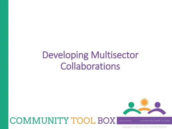 Developing Multisector Collaborations