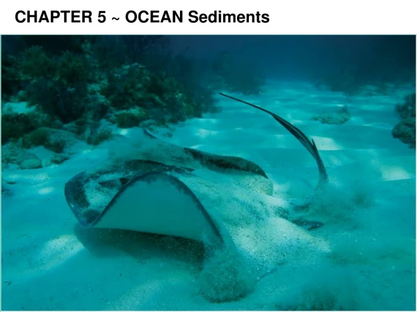 CHAPTER 5 ~ OCEAN Sediments