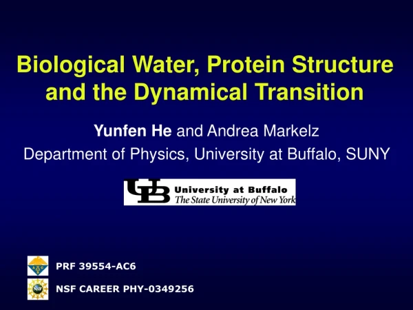 Biological Water, Protein Structure and the Dynamical Transition