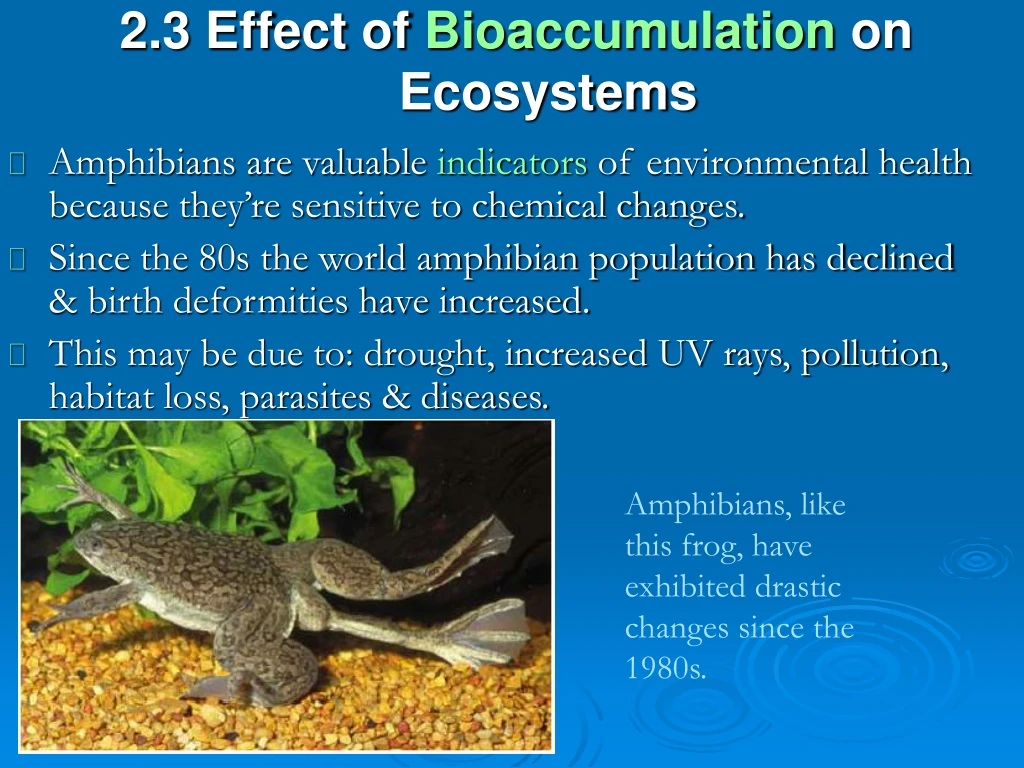 2 3 effect of bioaccumulation on ecosystems