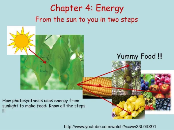 Chapter 4: Energy