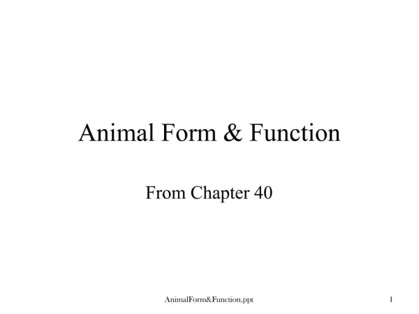 Animal Form Function